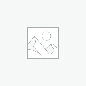 Lò nướng đối lưu Southstar 10 khay